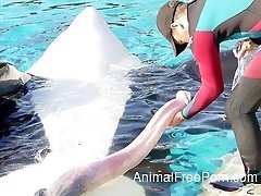 Man in swimsuit is playing with a truly giant ocean snake